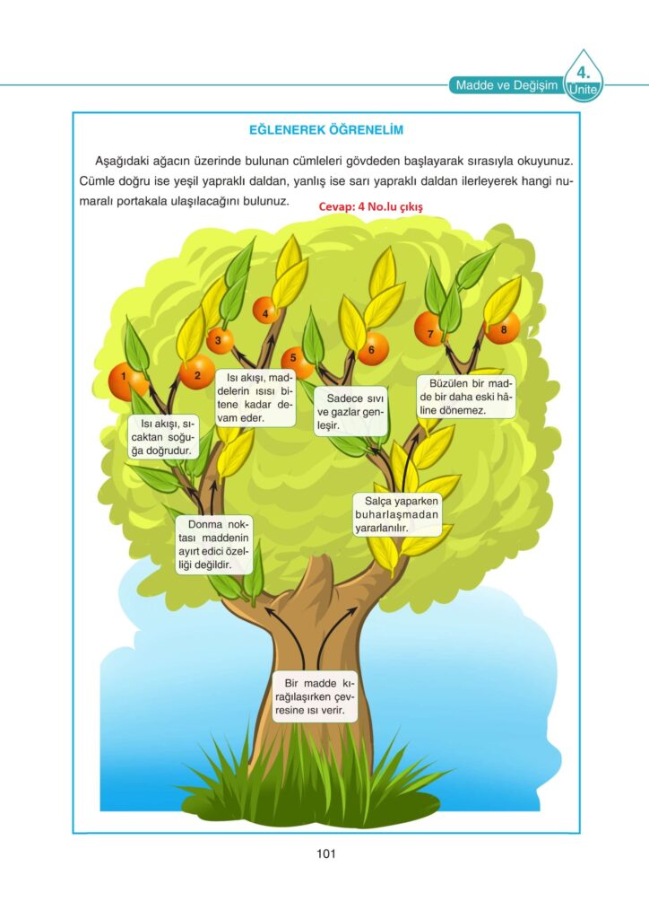 5. Sınıf Fen Bilimleri Ders Kitabı Cevapları SDR Dikey Yayıncılık