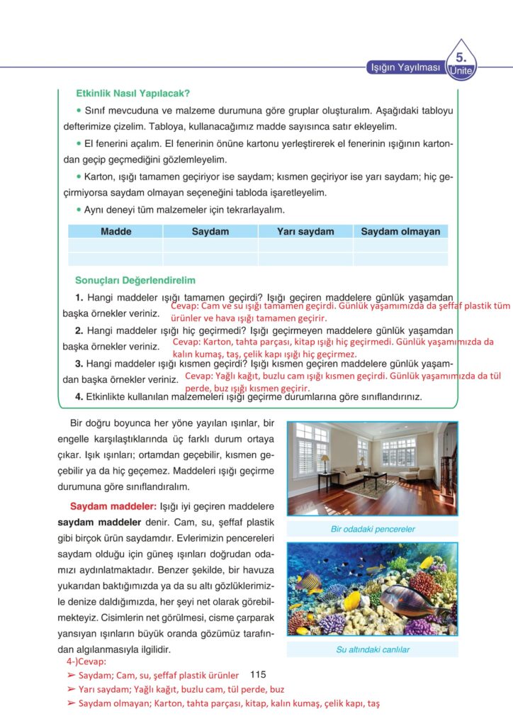 5. Sınıf Fen Bilimleri Ders Kitabı Cevapları SDR Dikey Yayıncılık
