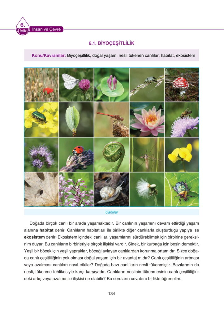 5. Sınıf Fen Bilimleri Ders Kitabı Cevapları SDR Dikey Yayıncılık