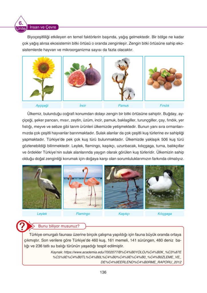 5. Sınıf Fen Bilimleri Ders Kitabı Cevapları SDR Dikey Yayıncılık