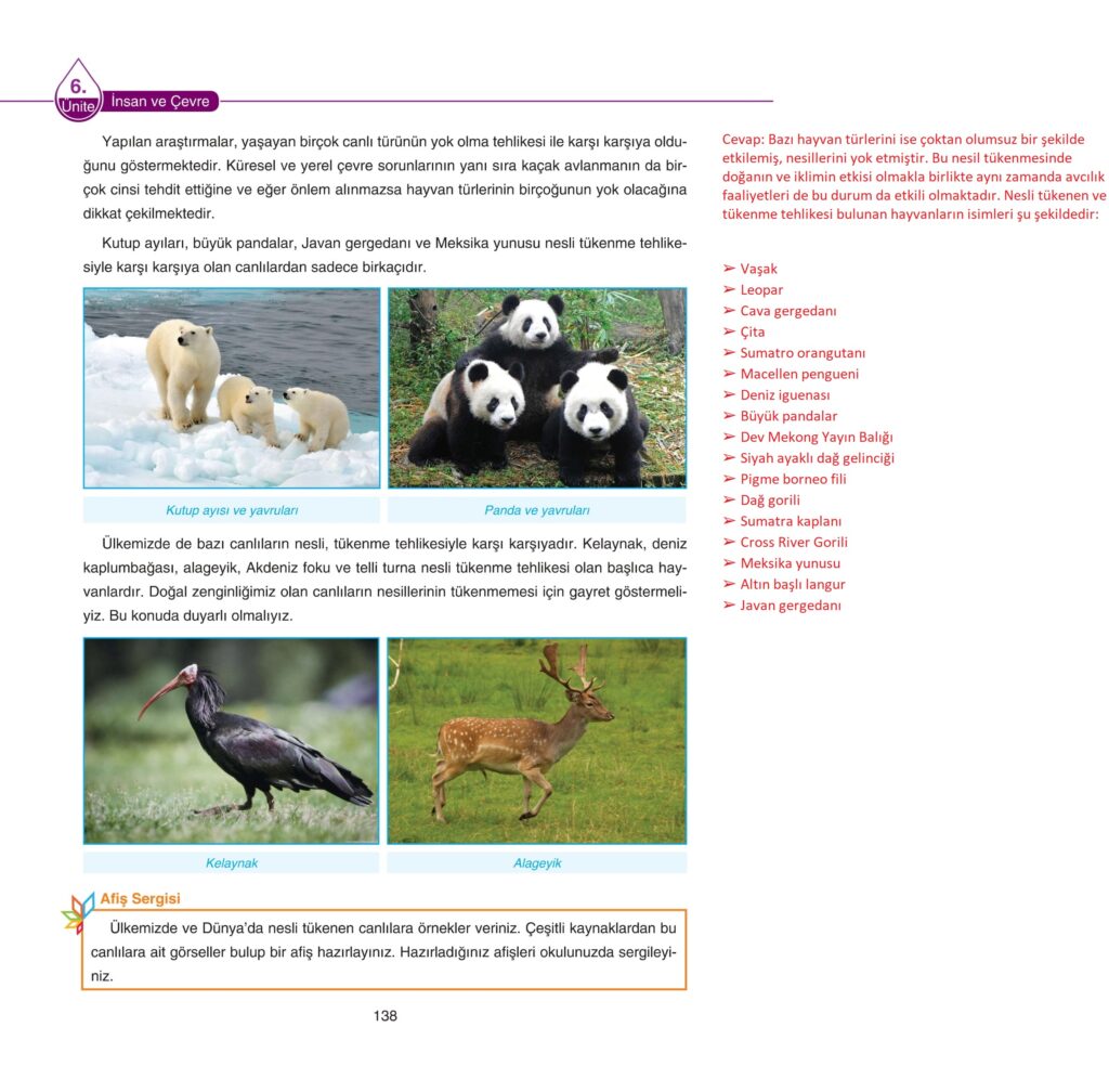 5. Sınıf Fen Bilimleri Ders Kitabı Cevapları SDR Dikey Yayıncılık