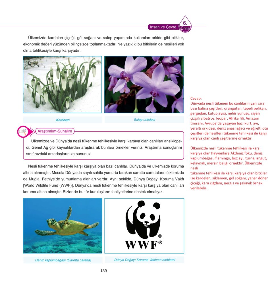 5. Sınıf Fen Bilimleri Ders Kitabı Cevapları SDR Dikey Yayıncılık