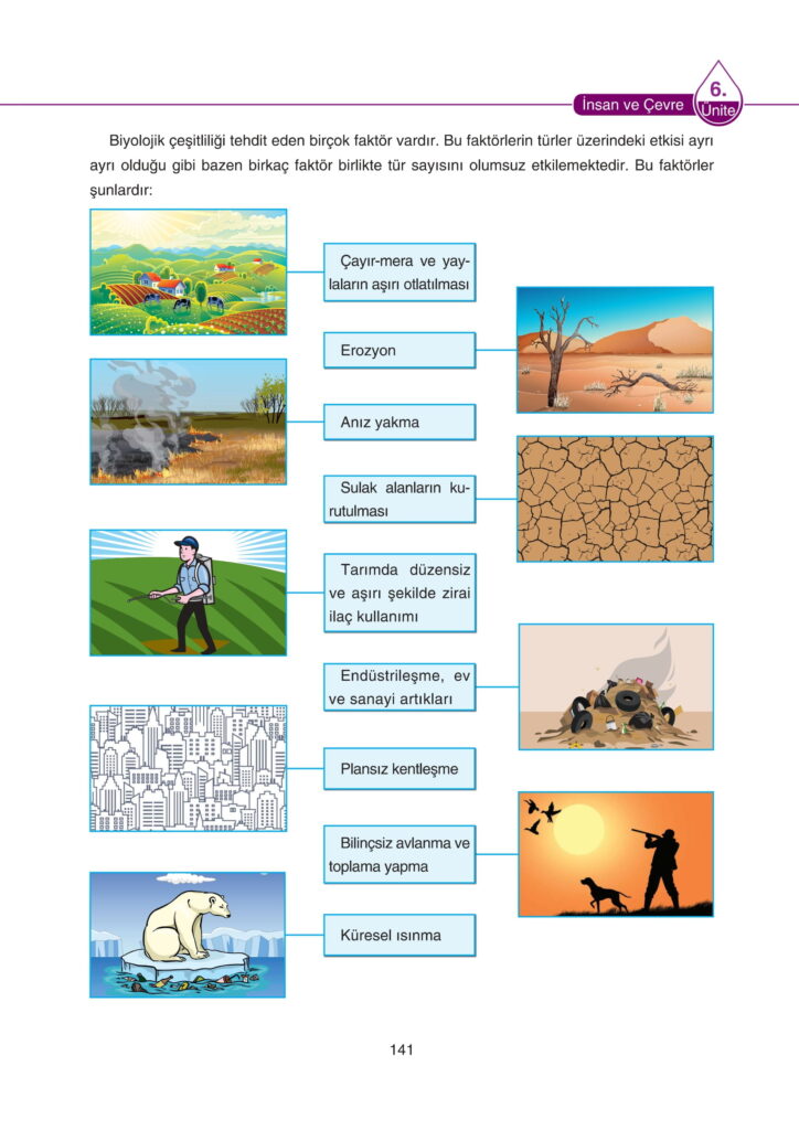 5. Sınıf Fen Bilimleri Ders Kitabı Cevapları SDR Dikey Yayıncılık