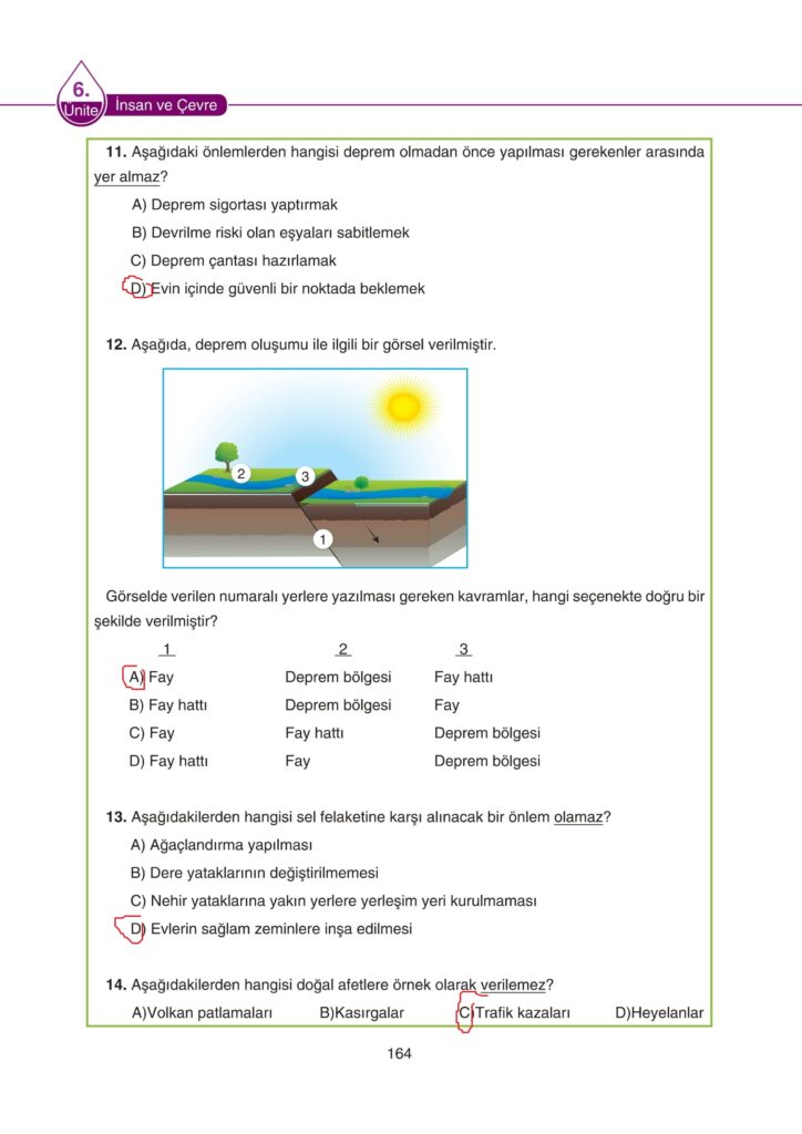 5. Sınıf Fen Bilimleri Ders Kitabı Cevapları SDR Dikey Yayıncılık