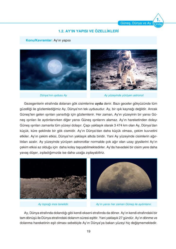 5. Sınıf Fen Bilimleri Ders Kitabı Cevapları SDR Dikey Yayıncılık Sayfa 19