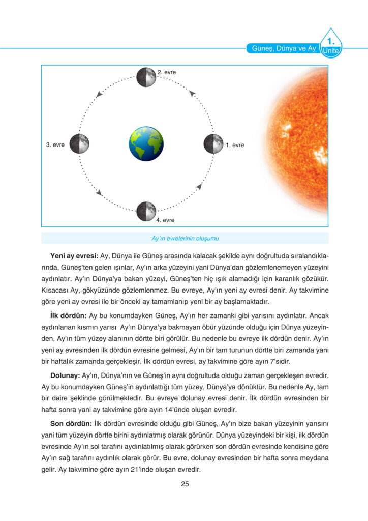 5. Sınıf Fen Bilimleri Ders Kitabı Cevapları SDR Dikey Yayıncılık Sayfa 25