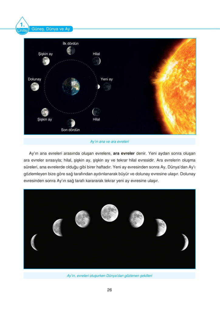 5. Sınıf Fen Bilimleri Ders Kitabı Cevapları SDR Dikey Yayıncılık Sayfa 26