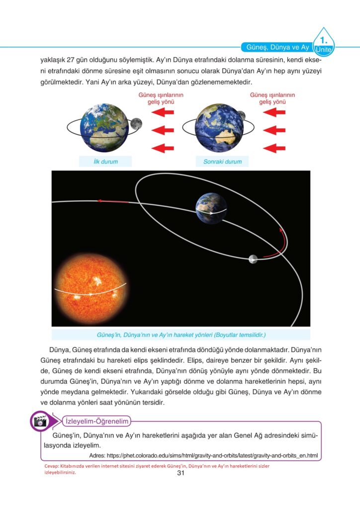 5. Sınıf Fen Bilimleri Ders Kitabı Cevapları SDR Dikey Yayıncılık Sayfa 31
