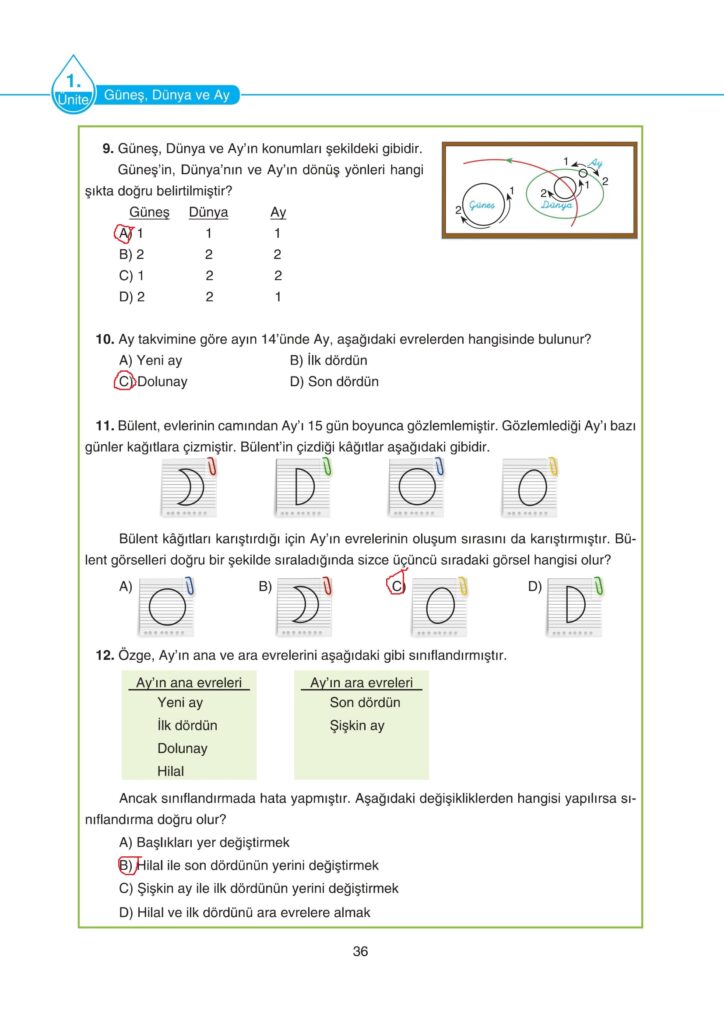 5. Sınıf Fen Bilimleri Ders Kitabı Cevapları SDR Dikey Yayıncılık Sayfa 36