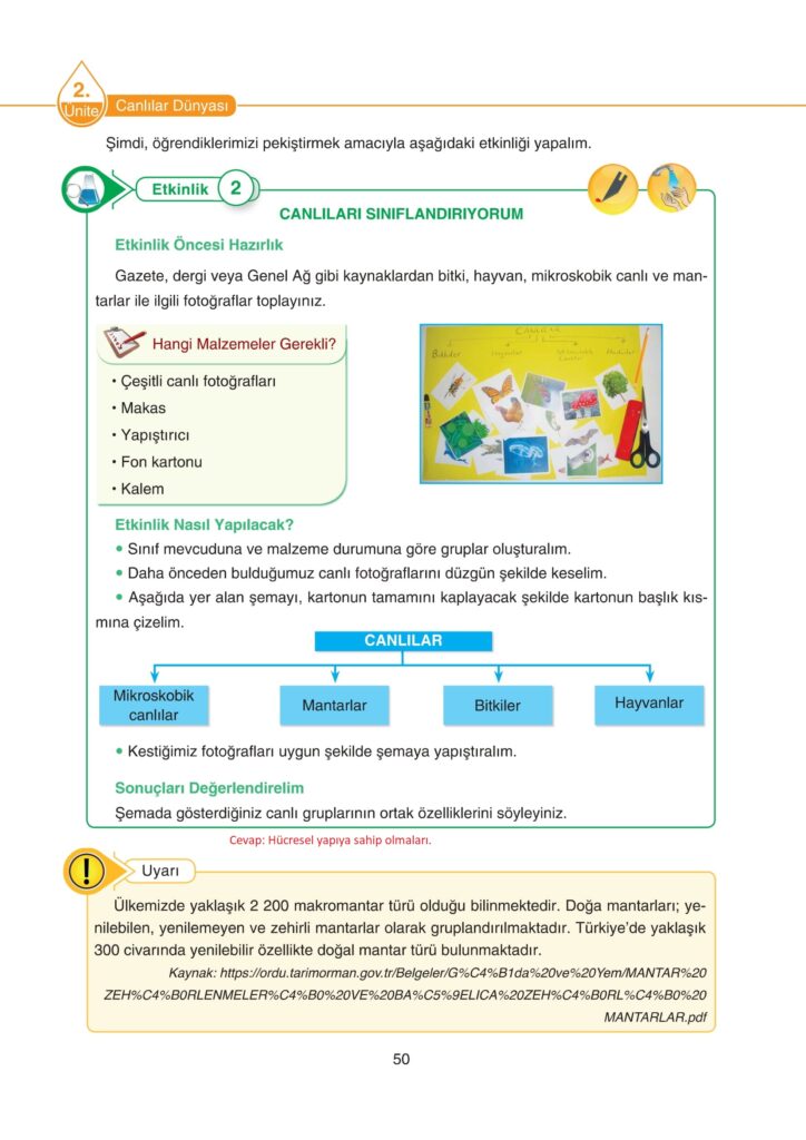 5. Sınıf Fen Bilimleri Ders Kitabı Cevapları SDR Dikey Yayıncılık