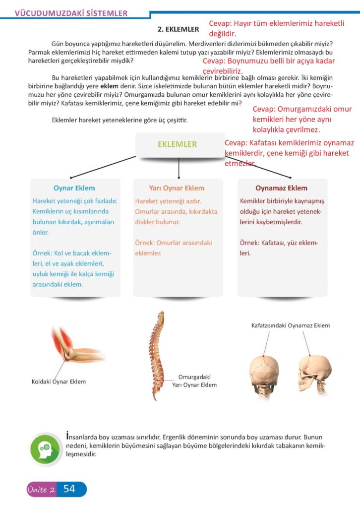6.sınıf fen kitabı meb yayınları sayfa 54 cevabı