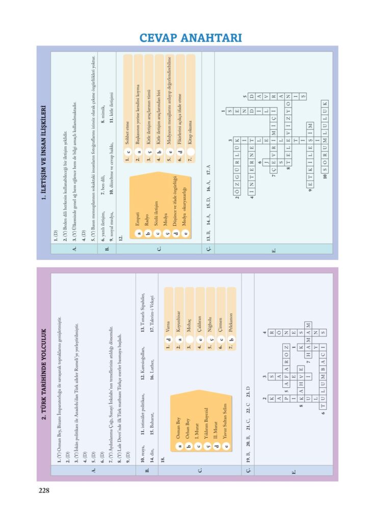 7.sınıf sosyal bilgiler ekoyay yayınları sayfa 228 cevabı