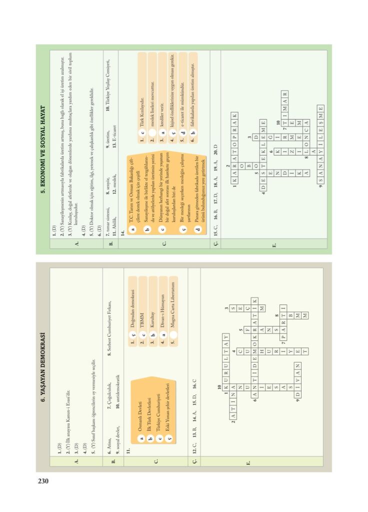 7.sınıf sosyal bilgiler ekoyay yayınları sayfa 230 cevabı 