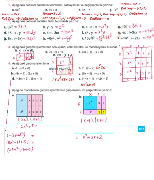 8.sınıf matematik koza yayınları sayfa 107 cevabı 