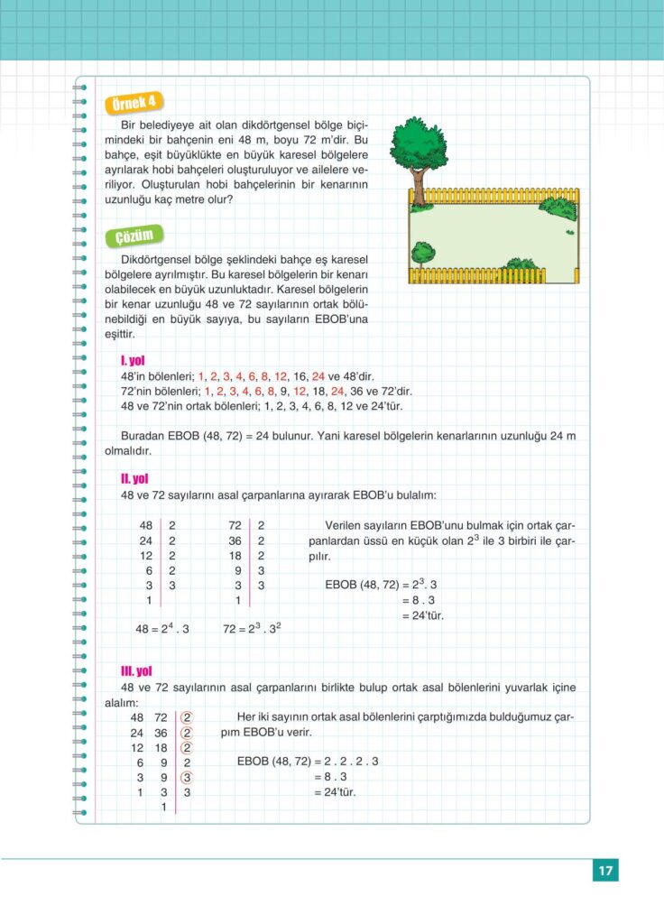 8.sınıf matematik koza yayınları sayfa 17 cevabı 