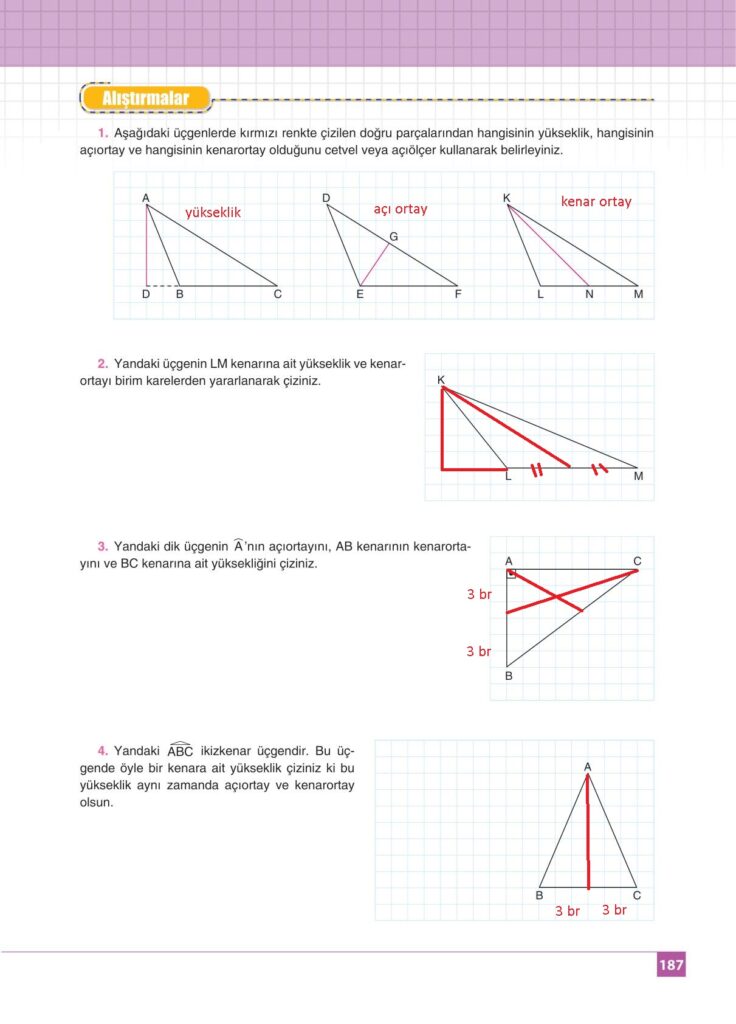 8.sınıf matematik koza yayınları sayfa 187 cevabı 