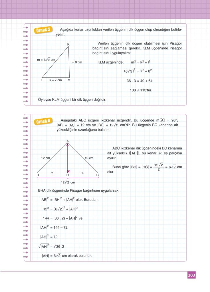 8.sınıf matematik koza yayınları sayfa 203 cevabı