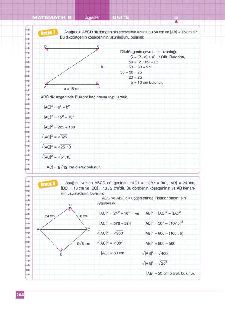 8.sınıf matematik koza yayınları sayfa 204 cevabı 