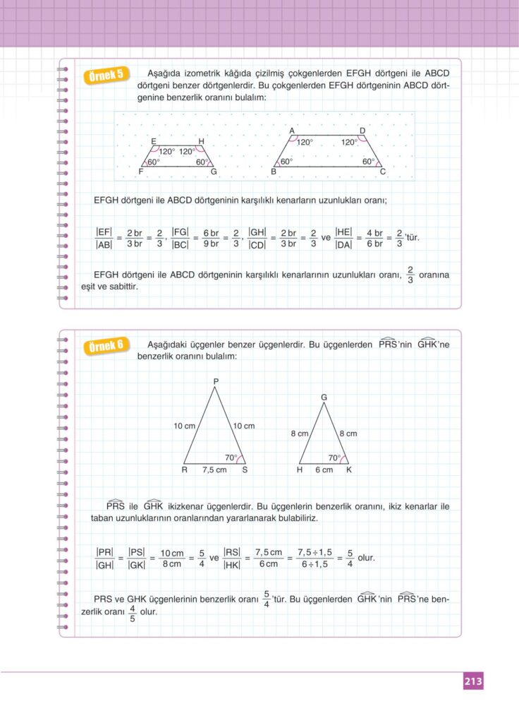 8.sınıf matematik koza yayınları sayfa 213 cevabı