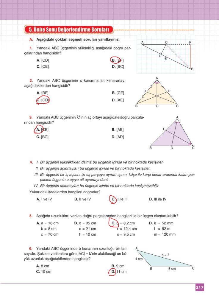 8.sınıf matematik koza yayınları sayfa 217 cevabı