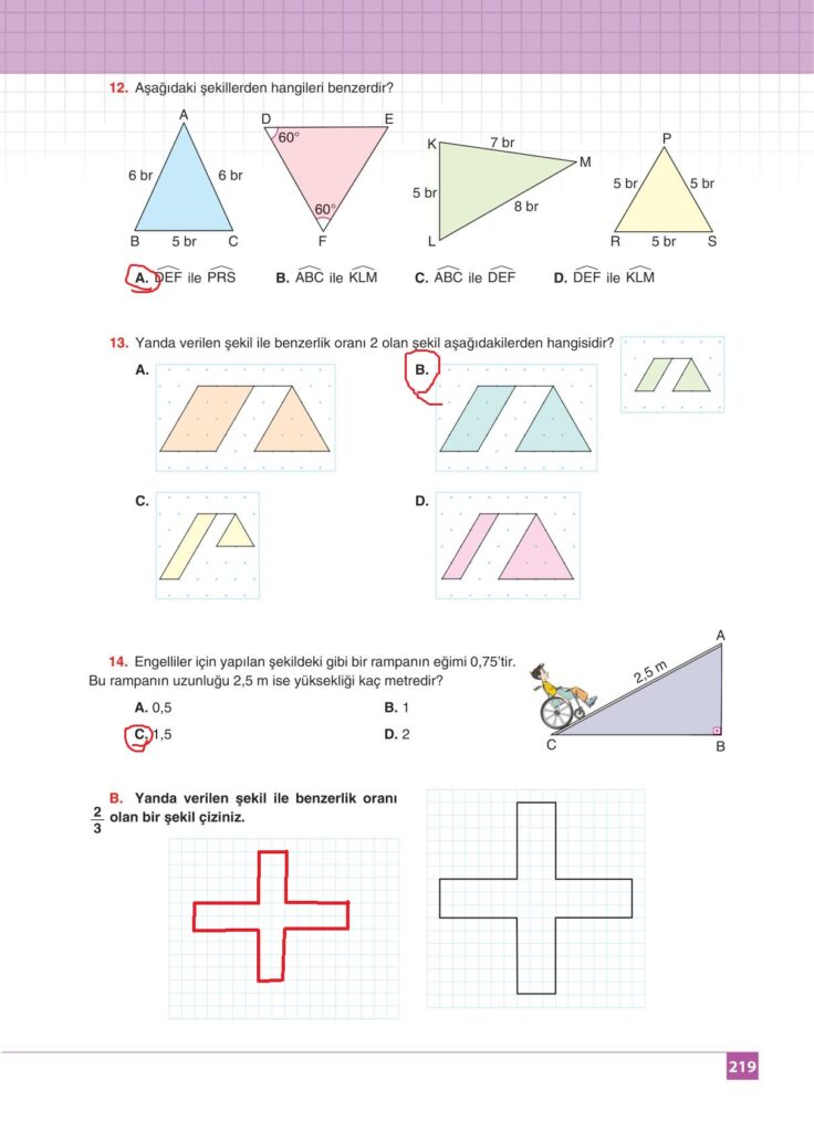 8.sınıf matematik koza yayınları sayfa 219 cevabı