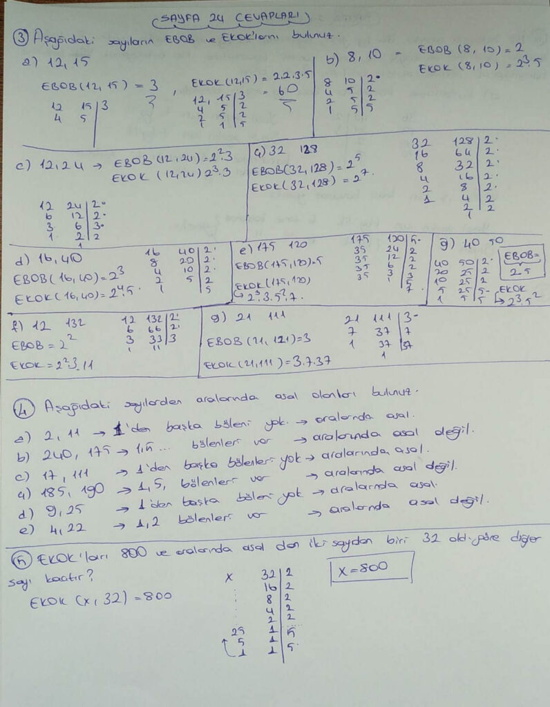 8.sınıf matematik koza yayınları sayfa 24 cevabı