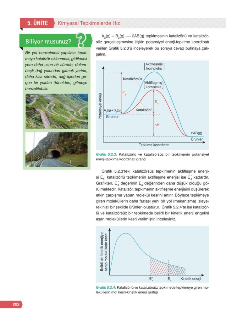11. sınıf kimya e-kare yayınları sayfa 202 cevaplar