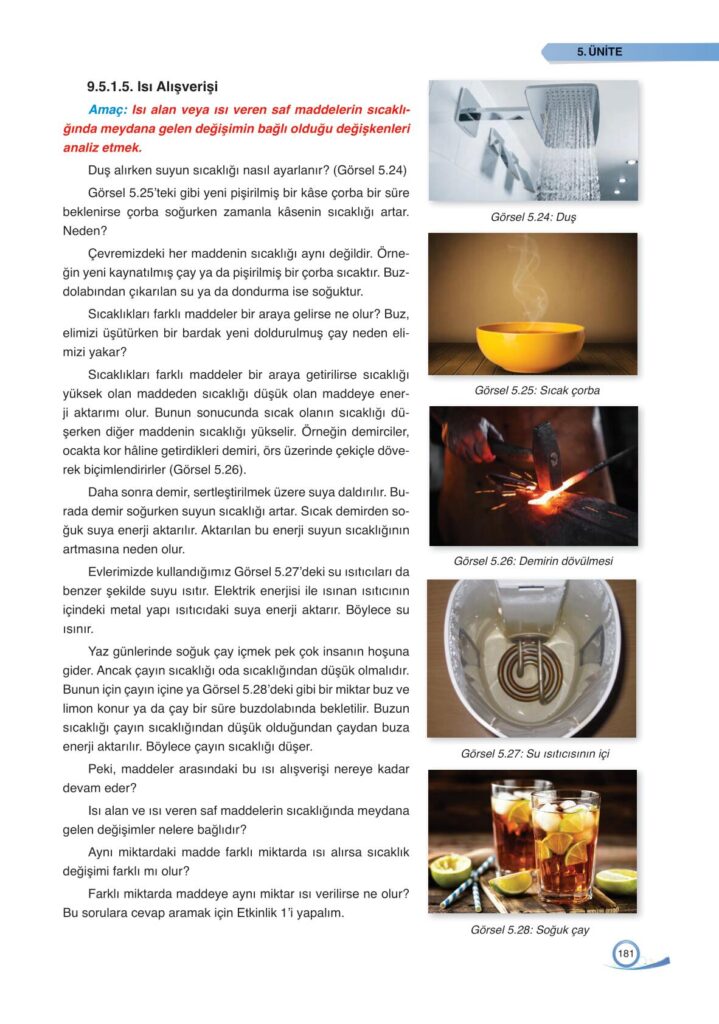 9. sınıf fizik ata yayınları sayfa 181 cevapları