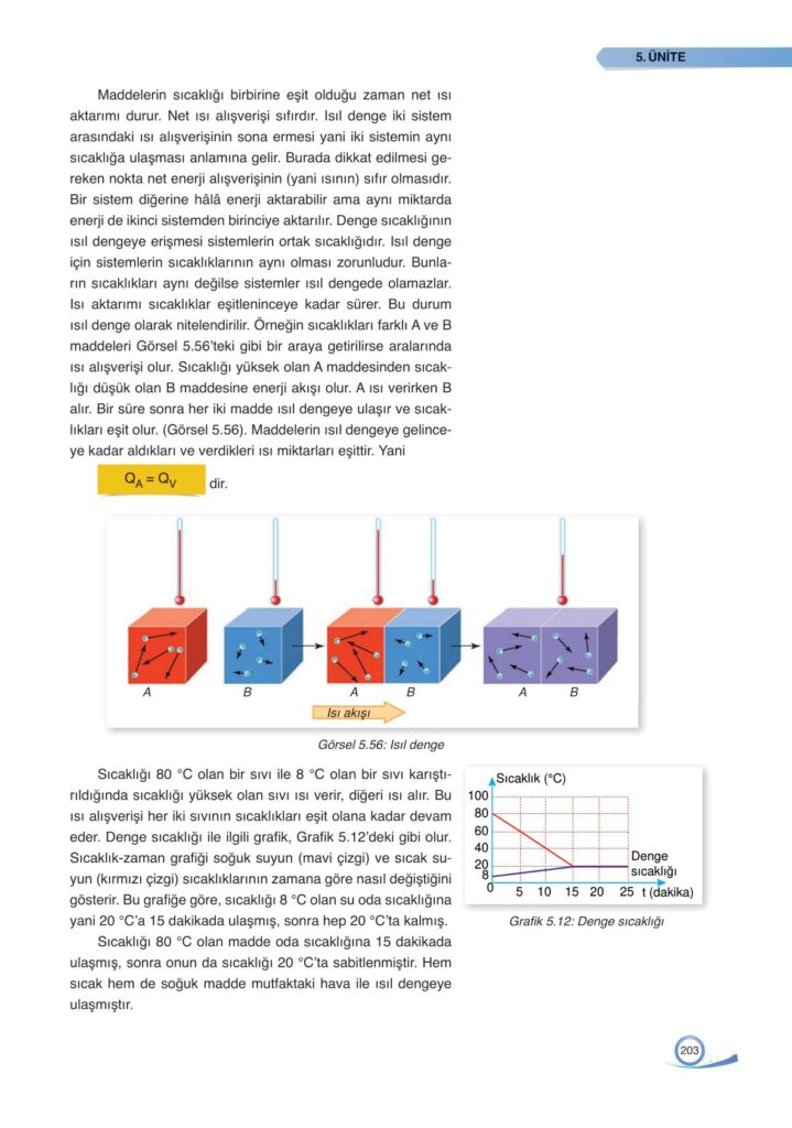  9. sınıf fizik ders kitabı sayfa 203 cevabı ata yayınları