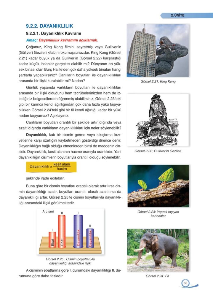 9. sınıf fizik ders kitabı sayfa 53 cevabı ata yayınları