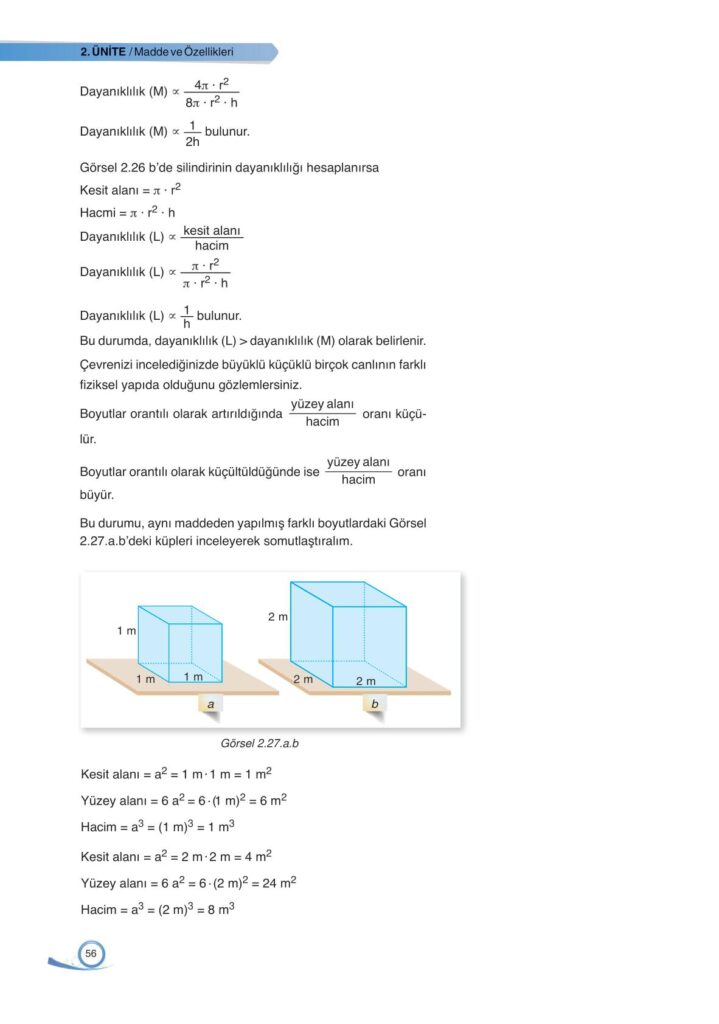 9. sınıf fizik ders kitabı sayfa 56 cevabı ata yayınları 