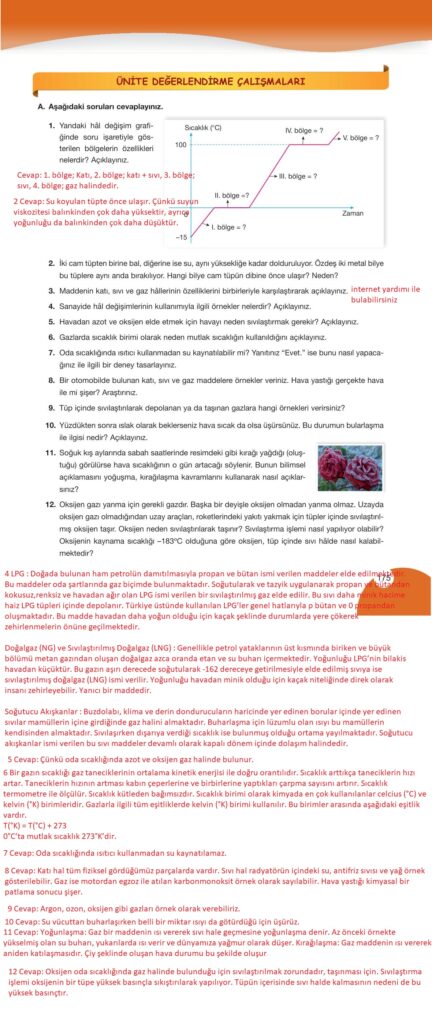 9. sınıf kimya ders kitabı sayfa 175 cevabı pasifik yayınları