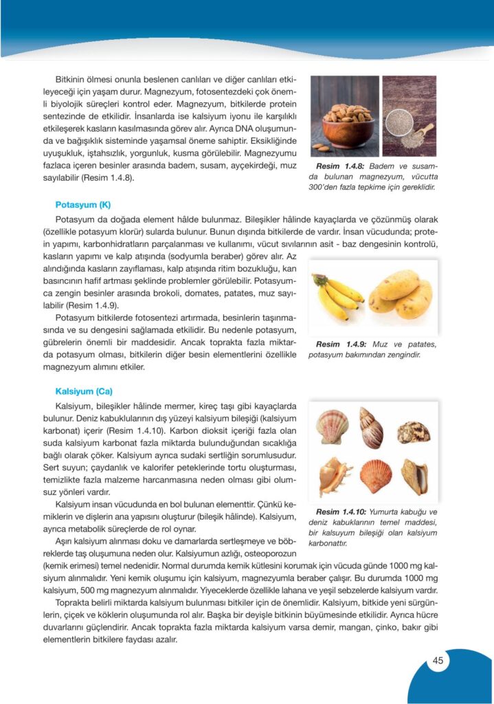 9. sınıf kimya ders kitabı sayfa 45 cevabı pasifik yayınları