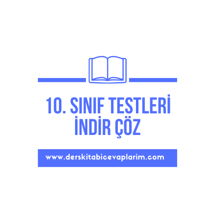 10. sınıf test