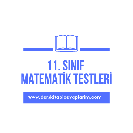 11. sınıf matematik test