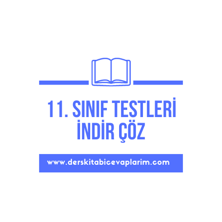 11. sınıf sosyoloji test