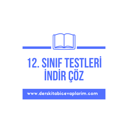 12. sınıf test