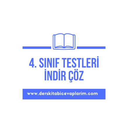 4. sınıf test