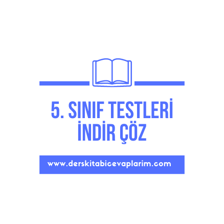 5. sınıf test