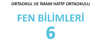 6. sınıf fen bilimleri ders kitabı cevapları