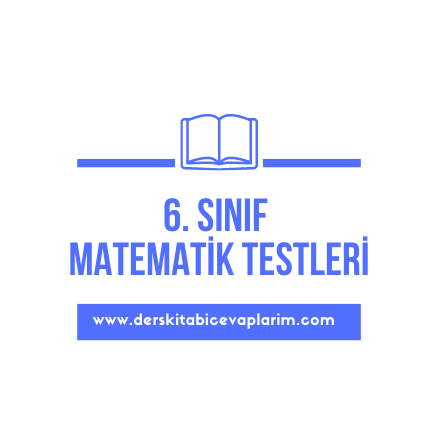 6. sınıf matematik veri analizi test
