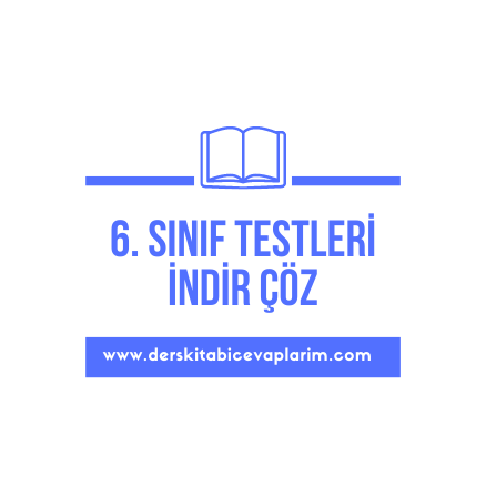 6. sınıf test