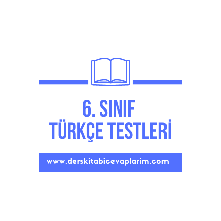 6. sınıf türkçe isimler test