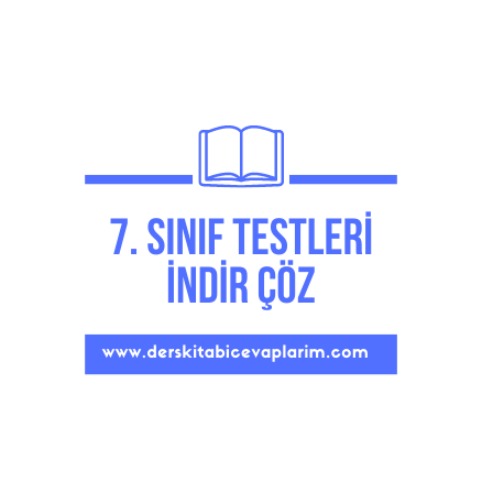 7. sınıf test