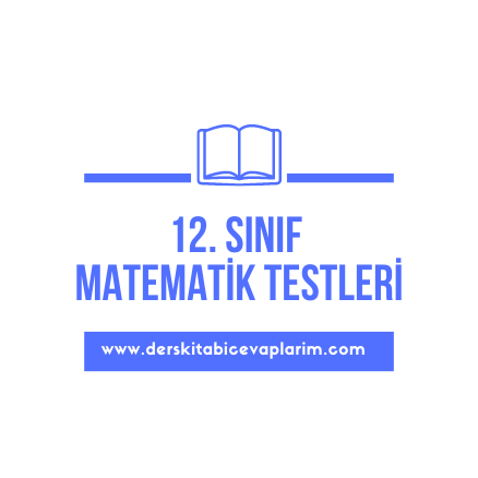12. sınıf matematik türev test