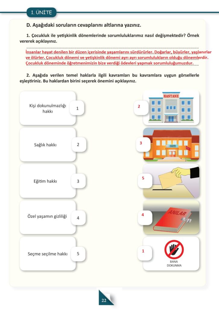 Insan hakları 4 sınıf cevapları