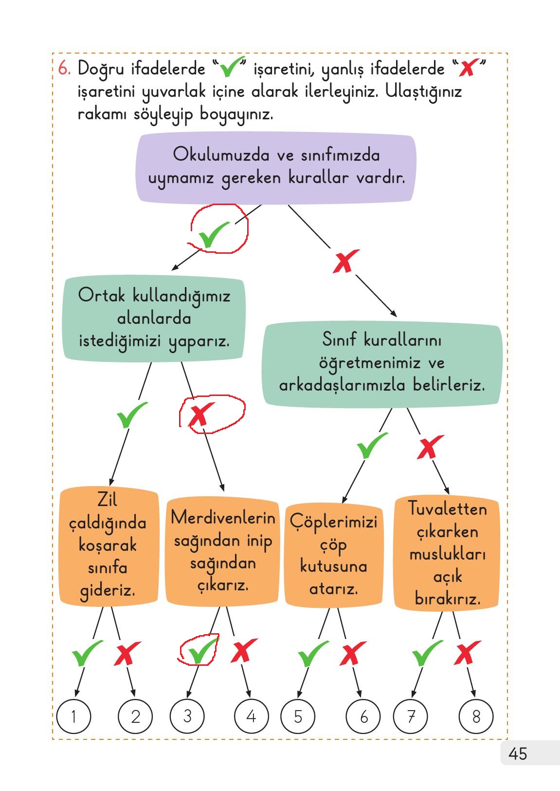 1. Sınıf Meb Yayınları Hayat Bilgisi 1. Kitap Ders Kitabı Sayfa 45 Cevapları