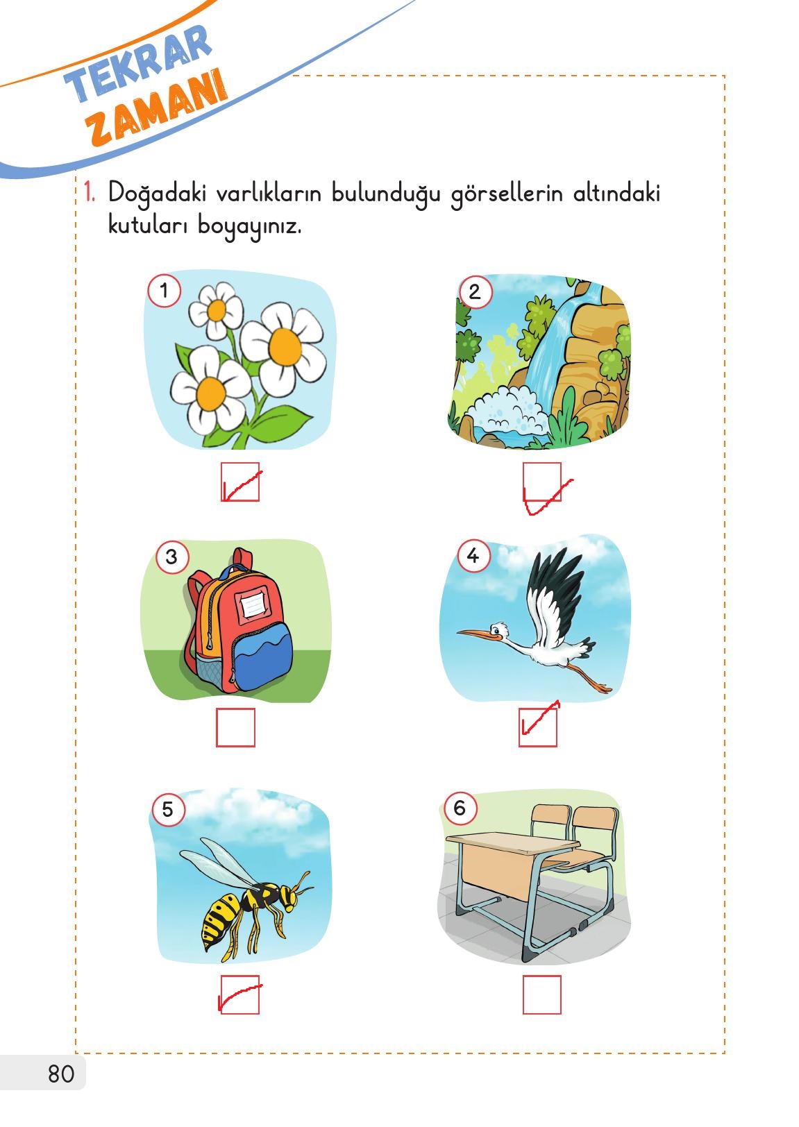 1. Sınıf Meb Yayınları Hayat Bilgisi 2. Kitap Ders Kitabı Sayfa 80 Cevapları