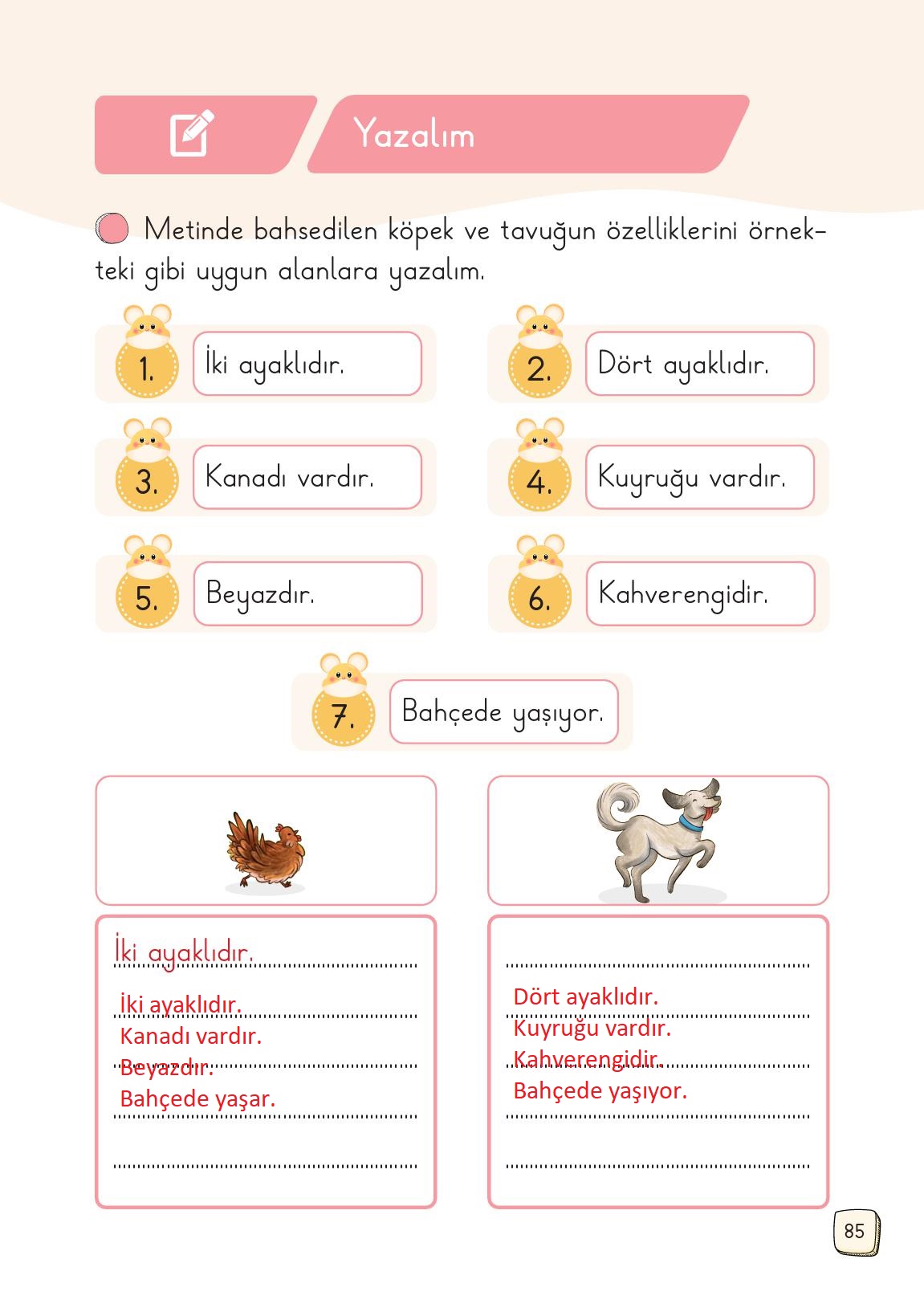 1. Sınıf Meb Yayınları Türkçe 2. Kitap Ders Kitabı Sayfa 85 Cevapları