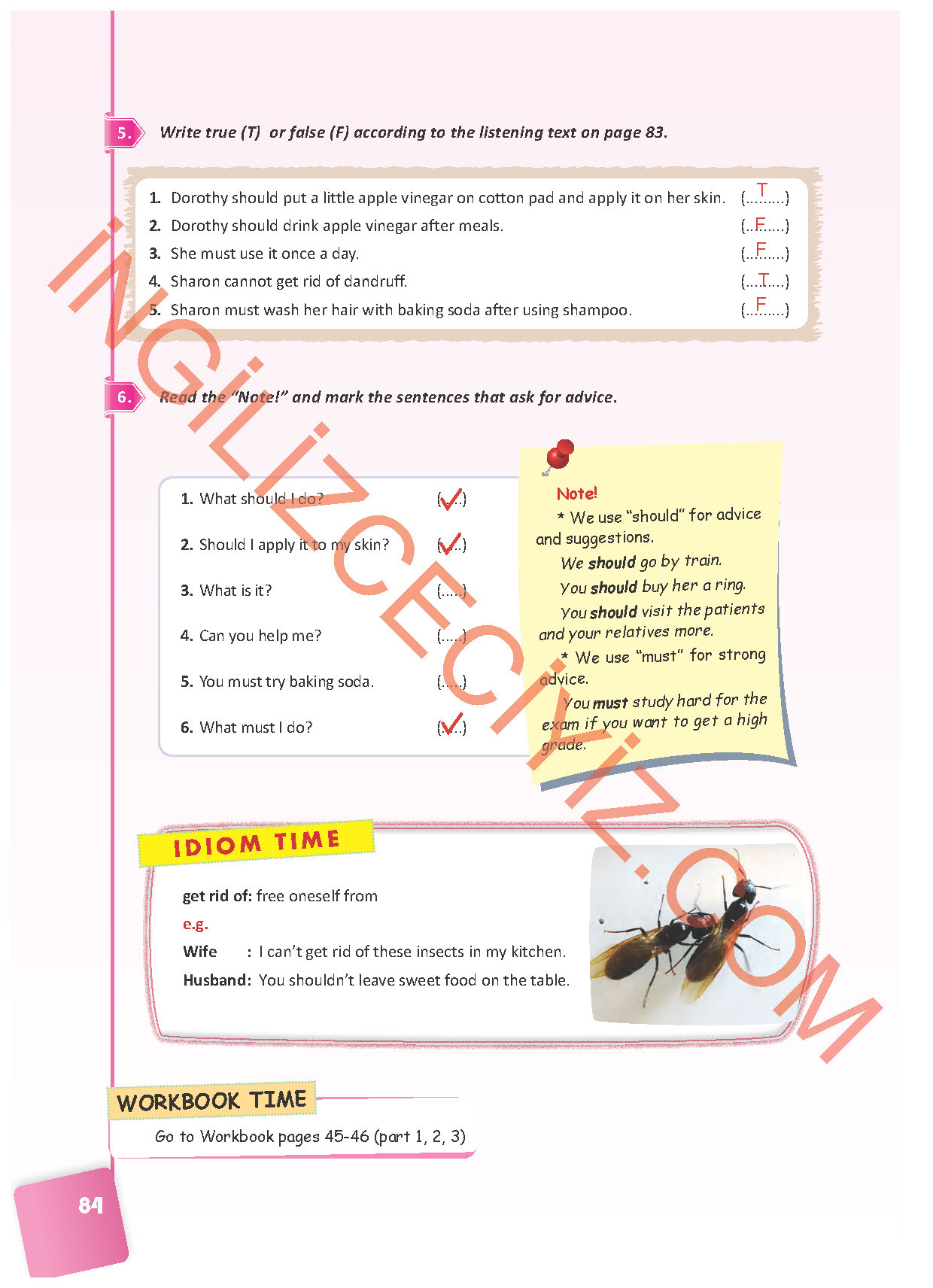 10. Sınıf Pasifik Yayınları İngilizce Ders Kitabı Sayfa 84 Cevapları 10. Sınıf Pasifik Yayınları İngilizce Ders Kitabı Sayfa 84 Cevapları